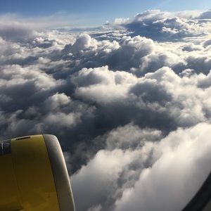 Meet your Posher, Leo